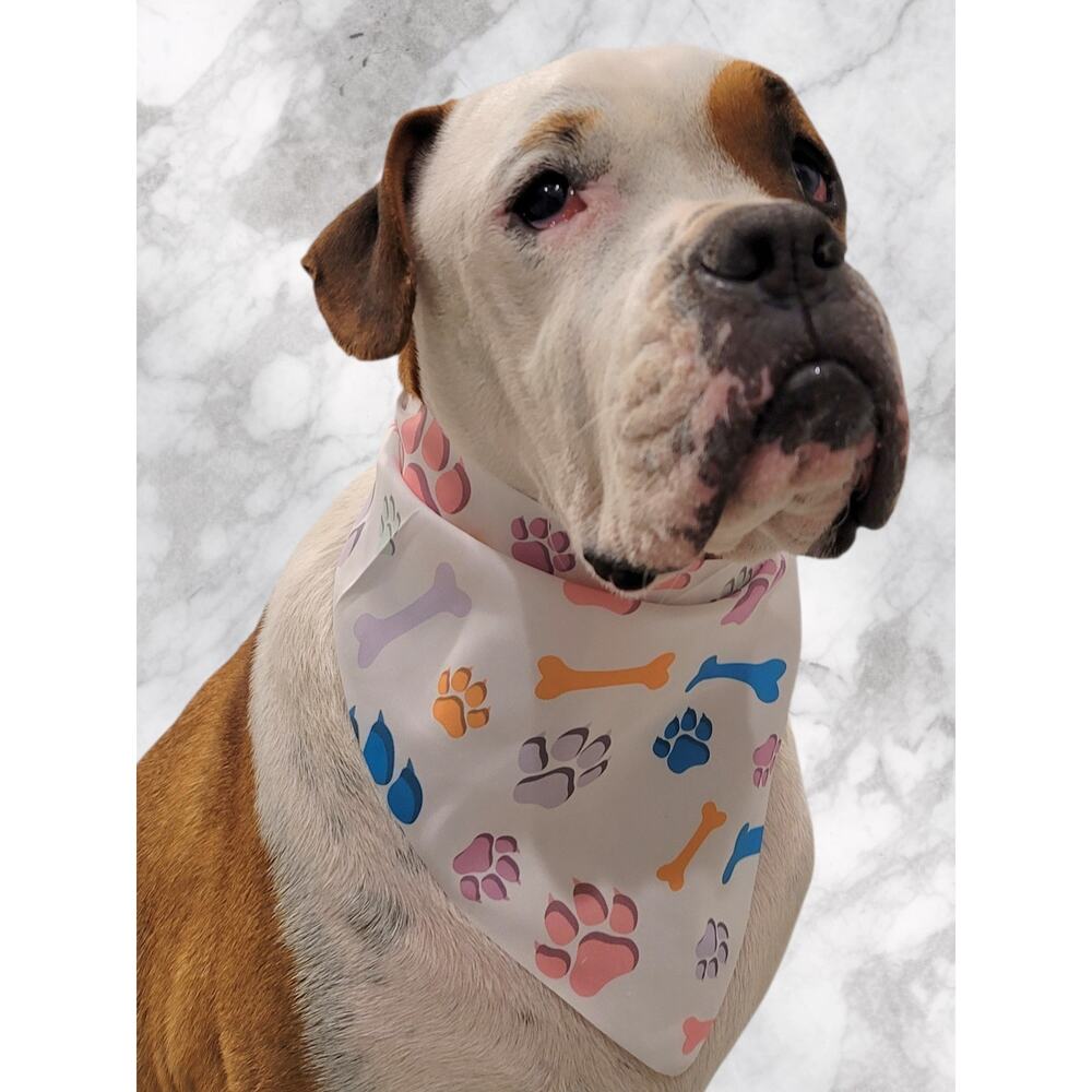 White Pet Bandana Paw and Bones Print Pastel Colors